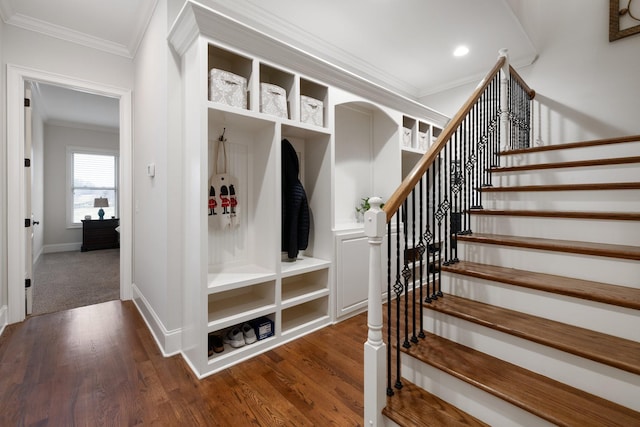 mudroom with dark hardwood / wood-style flooring and ornamental molding