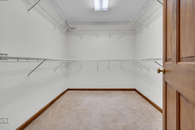 walk in closet with light carpet