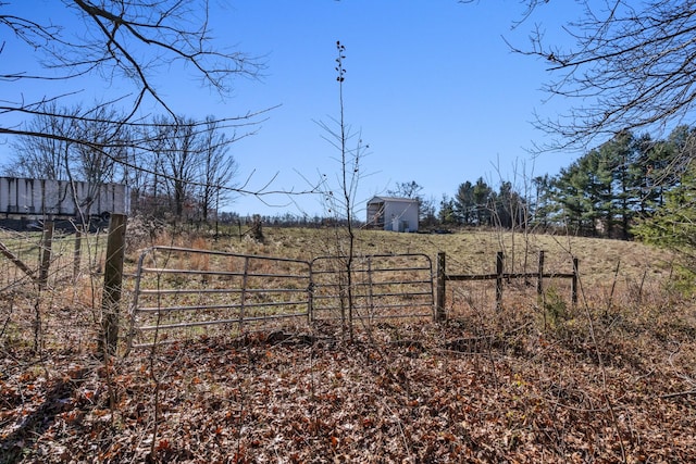 view of yard featuring a rural view