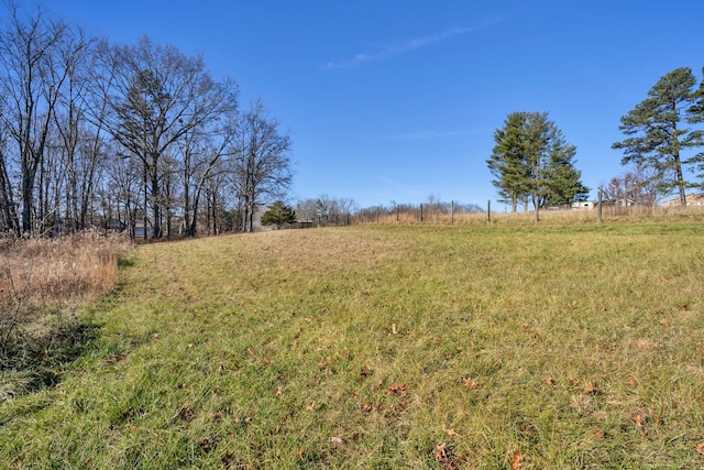 view of yard with a rural view