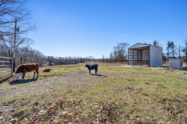 view of yard featuring a rural view and an outdoor structure