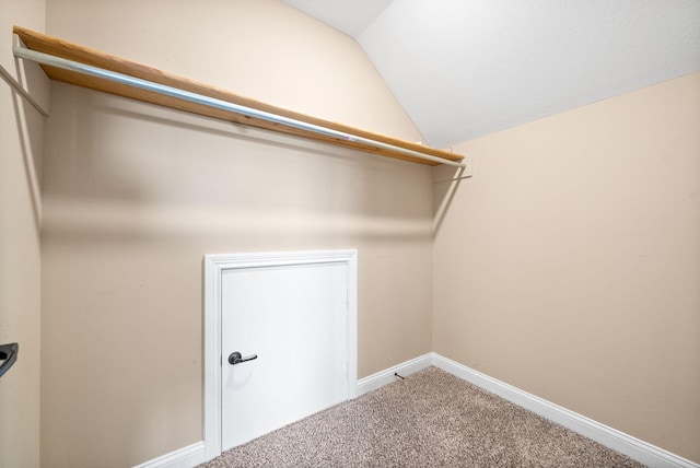 spacious closet featuring carpet and vaulted ceiling