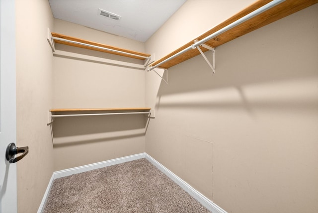 walk in closet featuring carpet