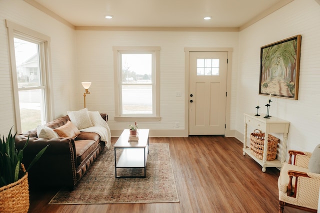 living room featuring wood-type flooring and plenty of natural light