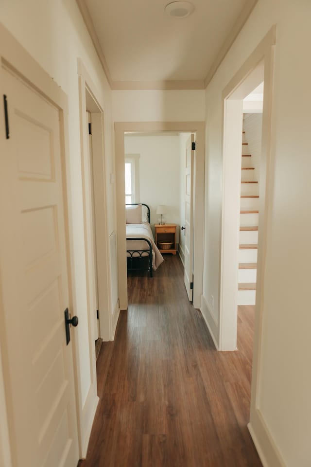 hallway featuring dark hardwood / wood-style flooring and crown molding