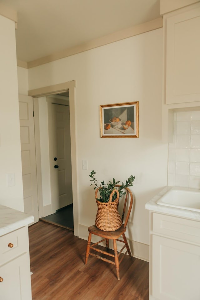 hall with dark wood-type flooring and sink