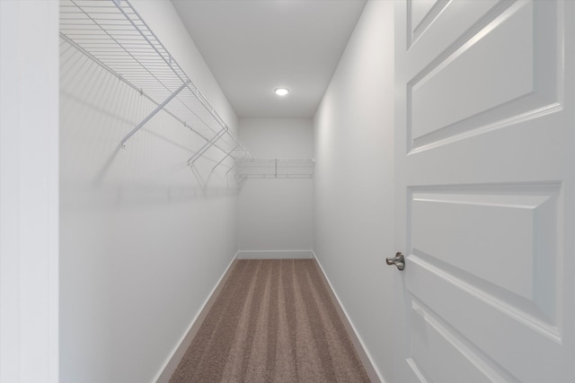 spacious closet with carpet