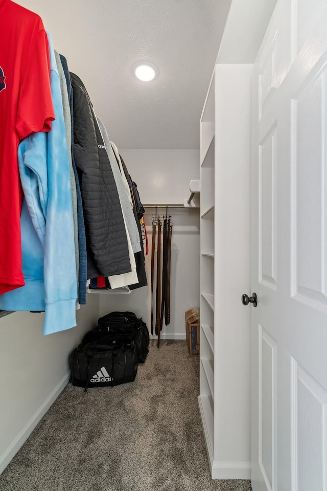 walk in closet featuring carpet floors