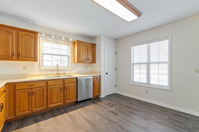 kitchen featuring dishwasher, dark hardwood / wood-style floors, a wealth of natural light, and sink