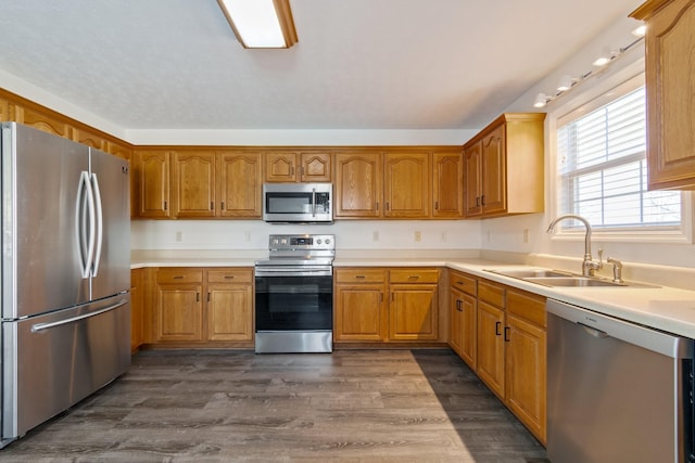 kitchen featuring dark hardwood / wood-style flooring, sink, and stainless steel appliances