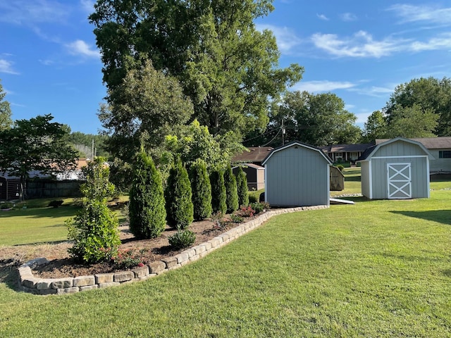 view of yard with a storage shed