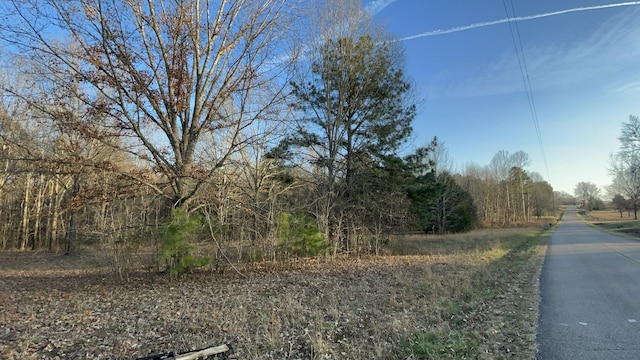 0 Old Union Loop, Paris TN, 38242 land for sale