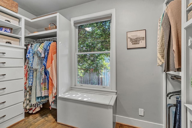 spacious closet with wood-type flooring