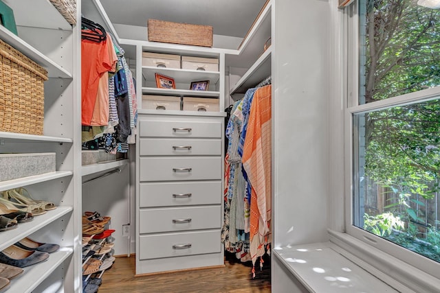 spacious closet with wood-type flooring