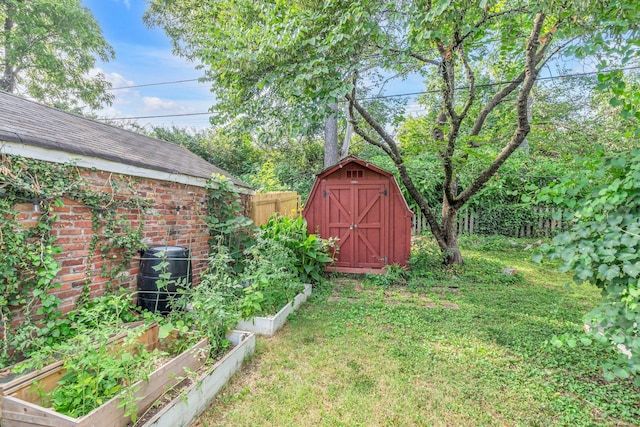 view of yard featuring a storage unit