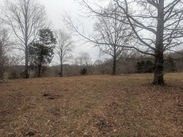 Listing photo 3 for 337 Old Dobbins Pike, Portland TN 37148