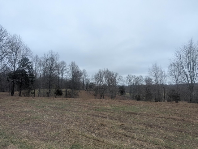 337 Old Dobbins Pike, Portland TN, 37148 land for sale