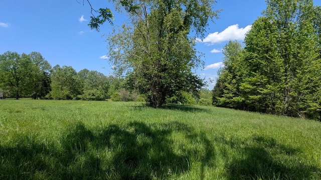 337 Old Dobbins Pike, Portland, TN 37148