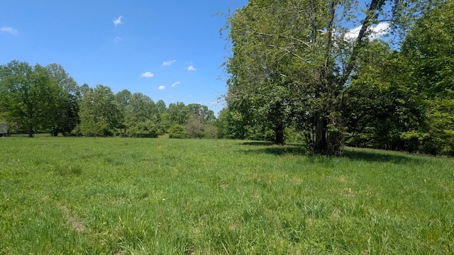 337 Old Dobbins Pike, Portland, TN 37148