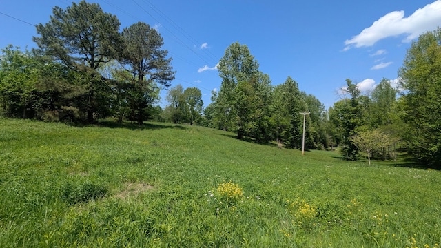 337 Old Dobbins Pike, Portland, TN 37148