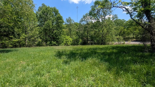337 Old Dobbins Pike, Portland, TN 37148