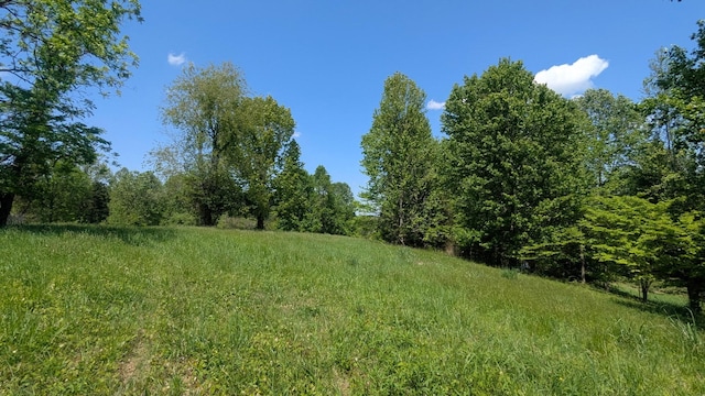 337 Old Dobbins Pike, Portland, TN 37148