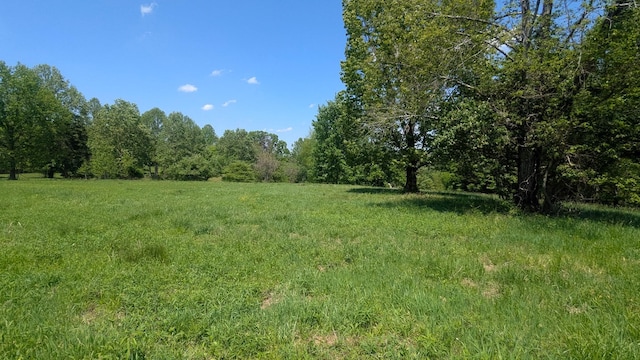 337 Old Dobbins Pike, Portland, TN 37148