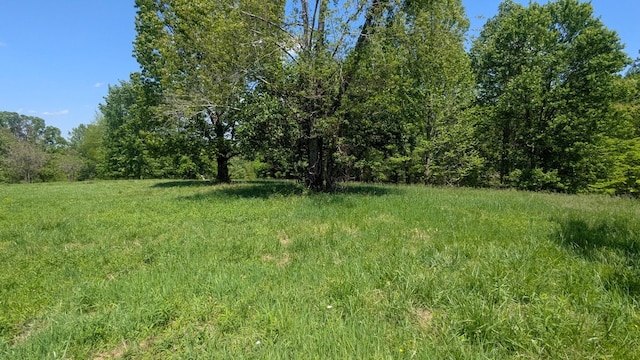 337 Old Dobbins Pike, Portland, TN 37148