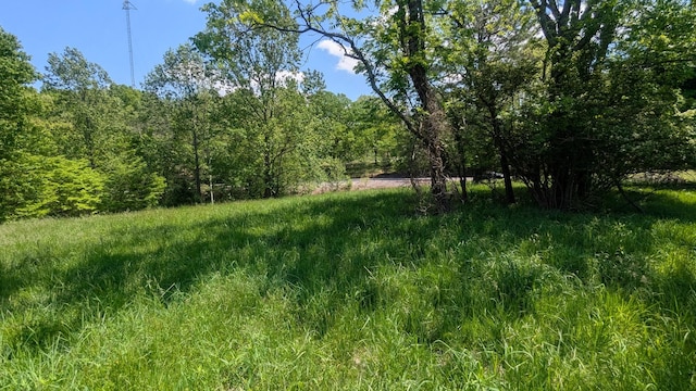 337 Old Dobbins Pike, Portland, TN 37148