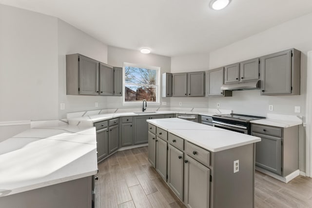 kitchen featuring appliances with stainless steel finishes, gray cabinets, and sink