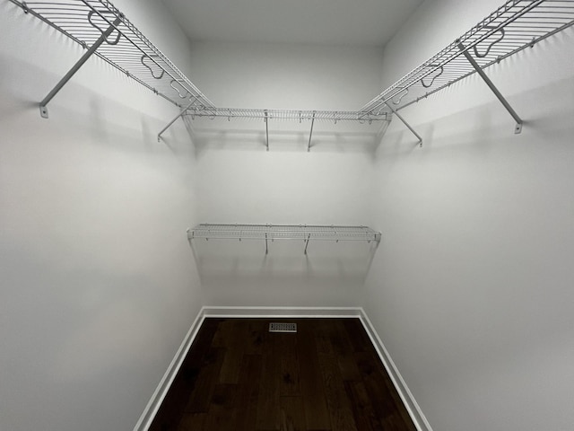 spacious closet with hardwood / wood-style flooring