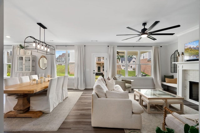 living room featuring a fireplace, hardwood / wood-style floors, ceiling fan with notable chandelier, and ornamental molding