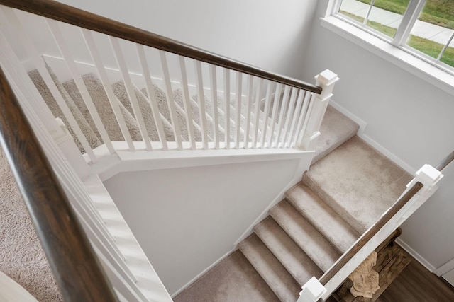 stairway featuring carpet floors