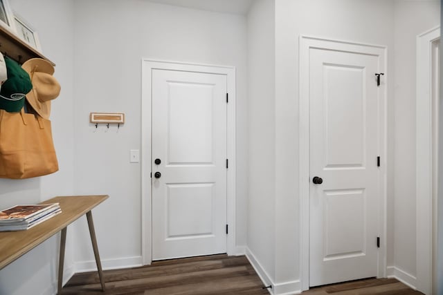 mudroom featuring dark wood-type flooring