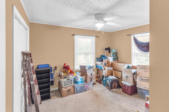 storage with ceiling fan