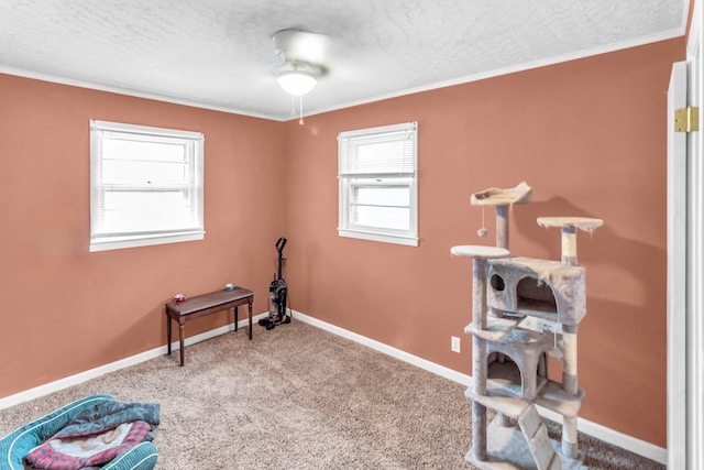 miscellaneous room featuring carpet flooring, a textured ceiling, and crown molding