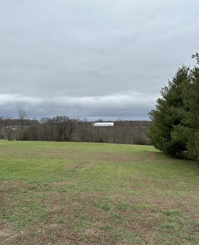 view of yard featuring a rural view