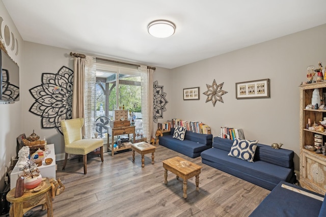 living room with wood-type flooring