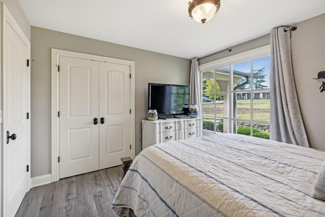 bedroom featuring a closet and hardwood / wood-style floors