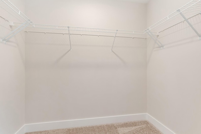 308 Jasmine Park, Hermitage, TN 37076 - photo 53
