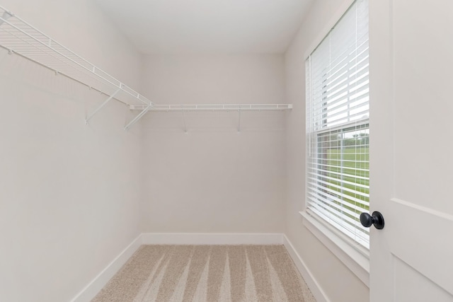 308 Jasmine Park, Hermitage, TN 37076 - photo 48
