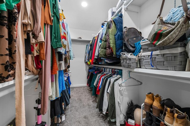 walk in closet with carpet