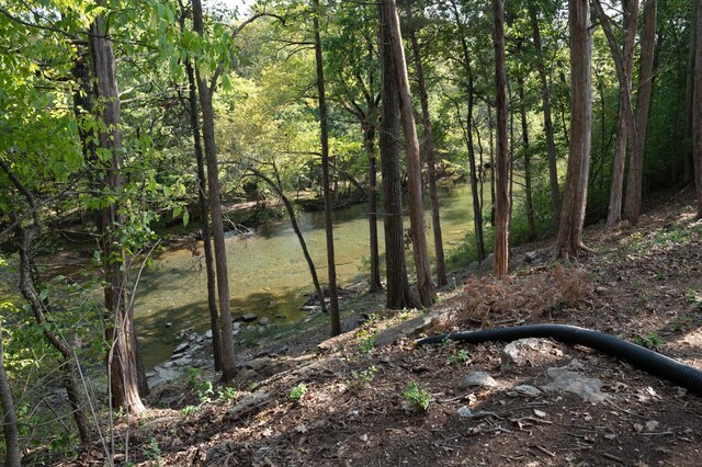 view of local wilderness