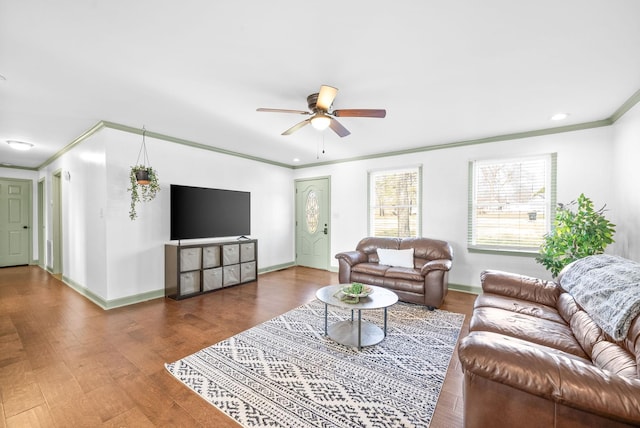 living room featuring ceiling fan, dark hardwood / wood-style floors, and ornamental molding