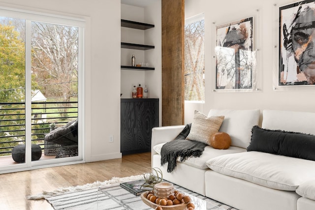 living room featuring built in shelves and light hardwood / wood-style floors