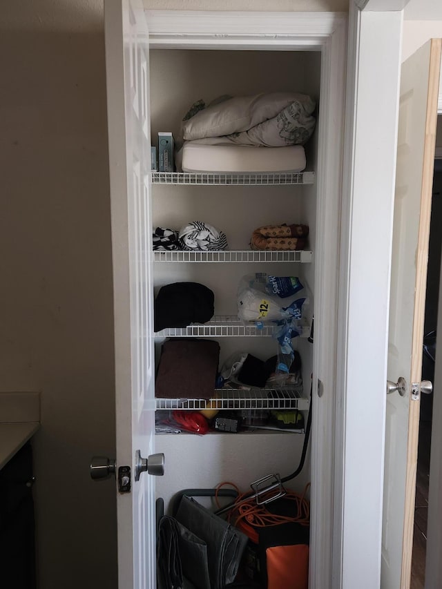 view of closet