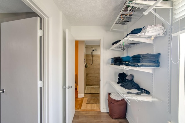 spacious closet featuring wood-type flooring