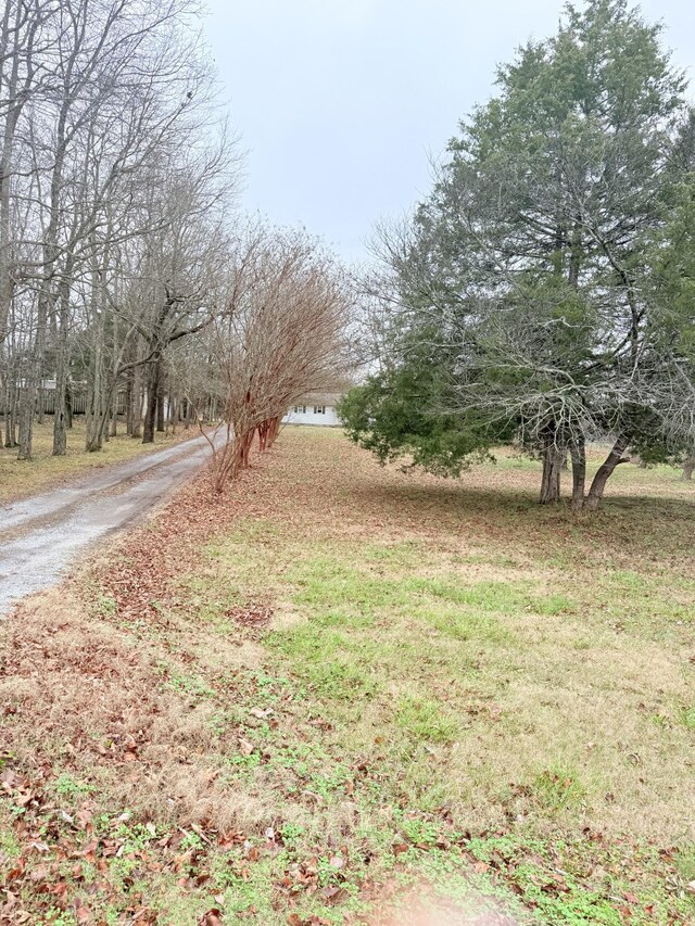 view of road