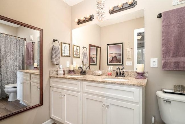 bathroom featuring vanity, a shower with shower curtain, and toilet