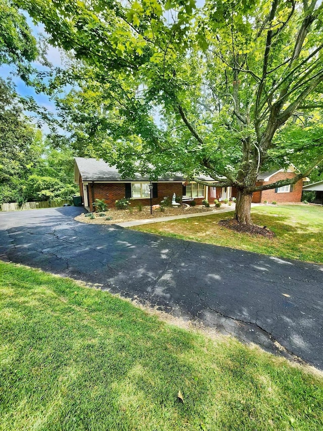 view of front of home featuring a front yard